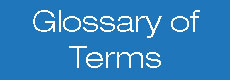 Glossary of Terms 